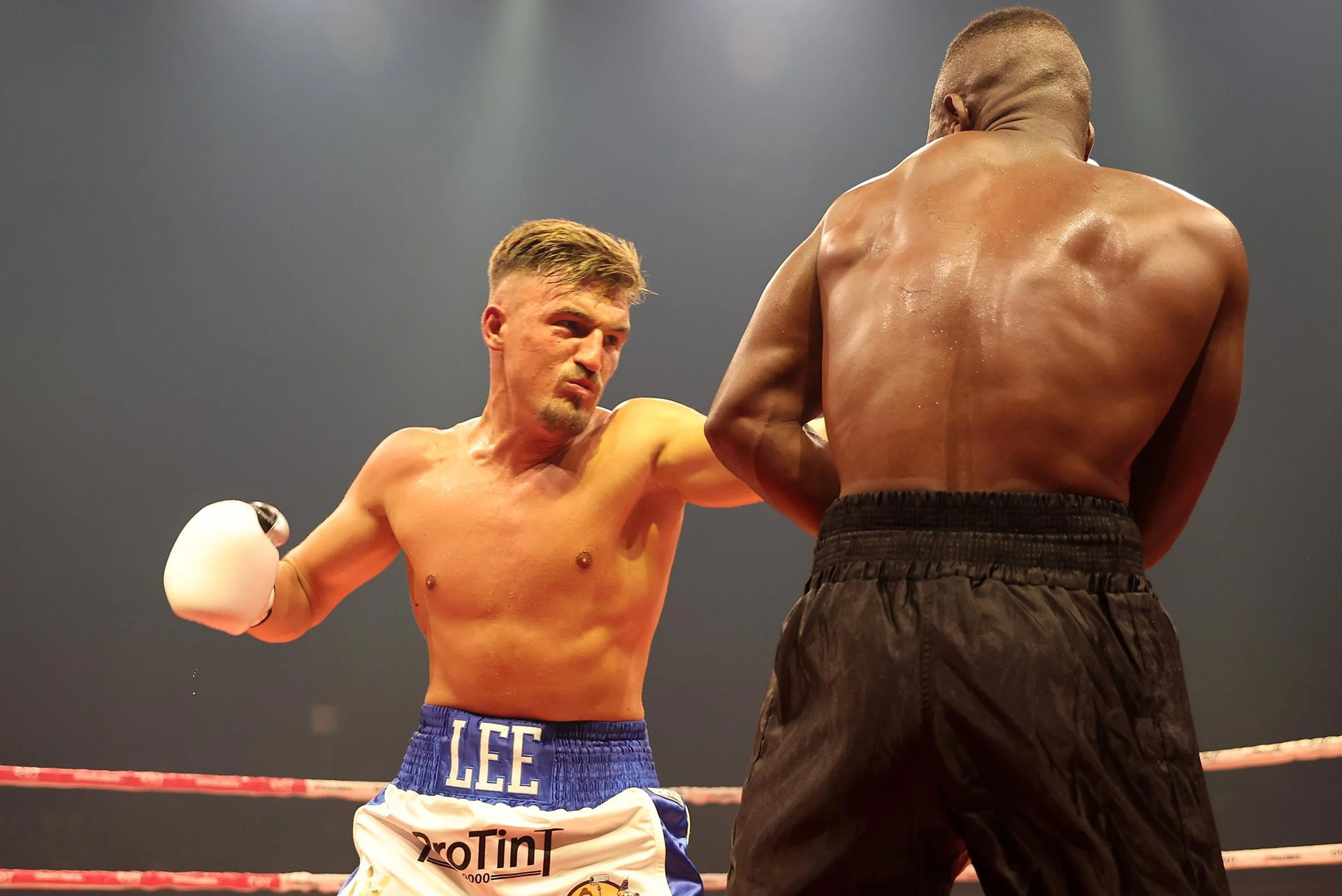 e188ec42-6ade-43be-bc11-83b92ef48747